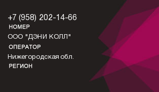 9582021466